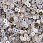 /p51877-payetki-indiya-kruglie-ploskie-4-mm-miks-serebristo-bezheviy/
