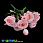 /p45781-buket-roz-32-sm-rozoviy/
