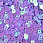 /p53161-payetki-indiya-cveti-ploskie-5-mm-sirenevie-av/