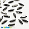 /p40768-shaton-lodochka-14-5x4-mm-temnoe-serebro-cherniy/