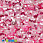/p37857-payetki-indiya-cveti-6-mm-rozovie/