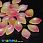 /p46162-busina-lampwork-lepestok-19x13-mm-rozovaya/