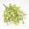 /p62156-buket-gipsofili-34-sm/