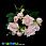 /p45819-buket-roz-33-sm-persikoviy/